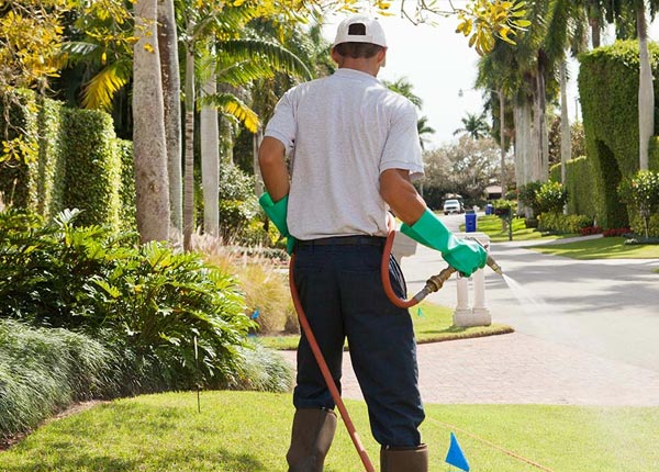 About Shoshone ID Pest Control